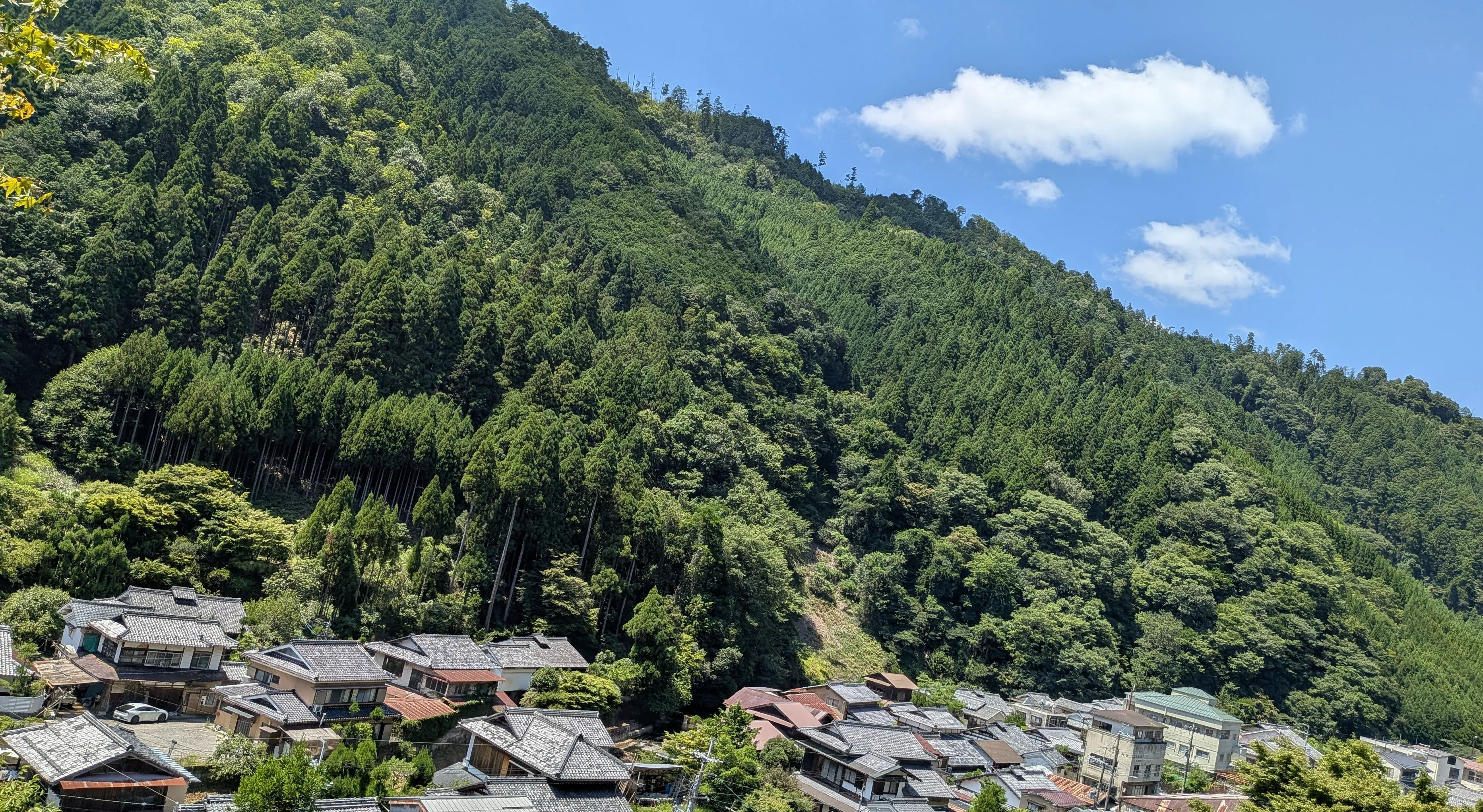 京北　北山杉の里中川をたずねて